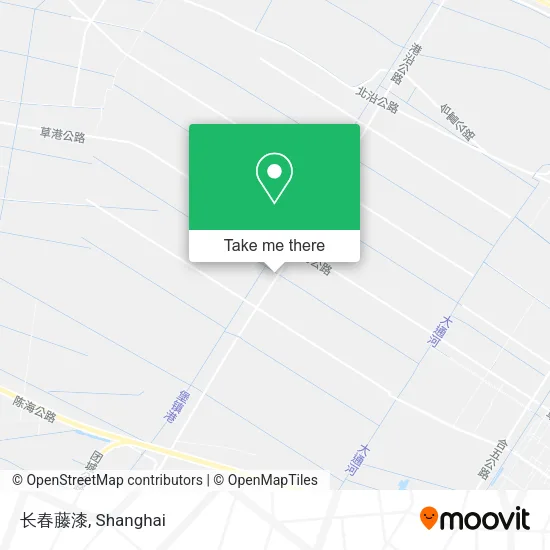 长春藤漆 map