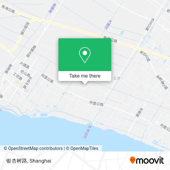 银杏树路 map