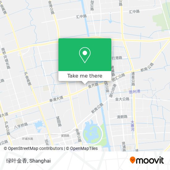 绿叶金香 map