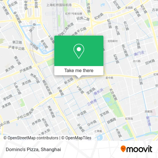 Domino's Pizza map