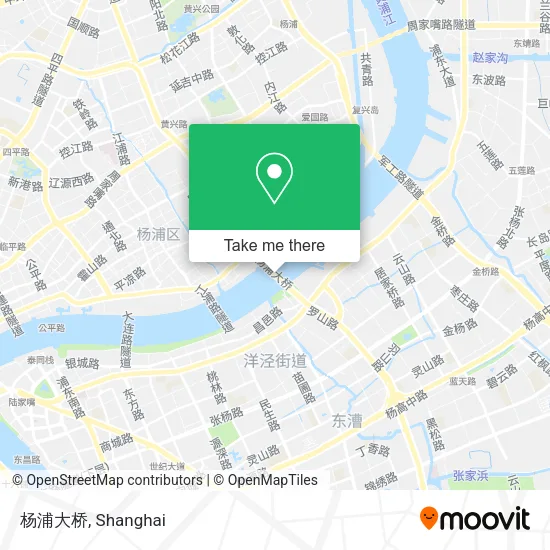 杨浦大桥 map