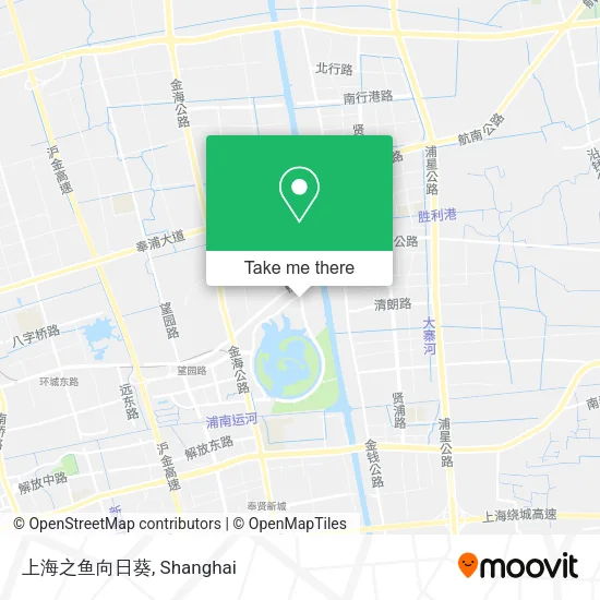 上海之鱼向日葵 map