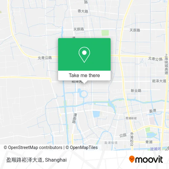 盈顺路崧泽大道 map