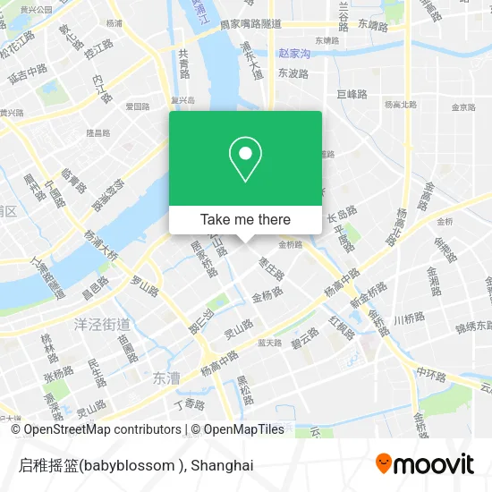 启稚摇篮(babyblossom ) map