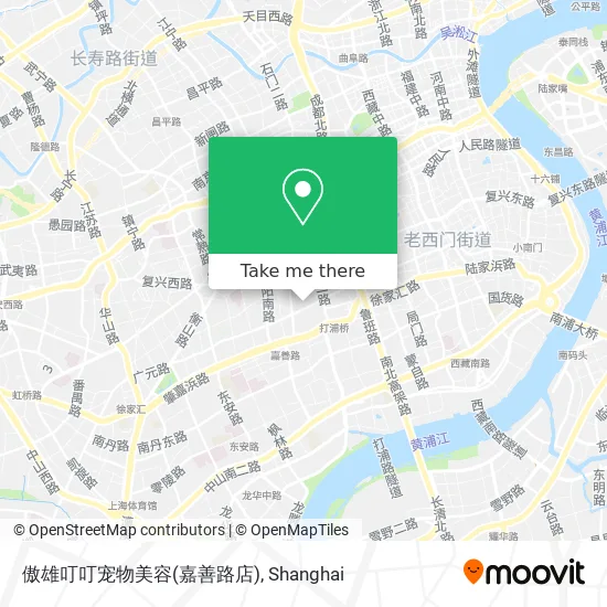 傲雄叮叮宠物美容(嘉善路店) map