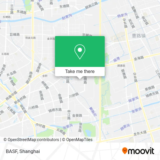 BASF map