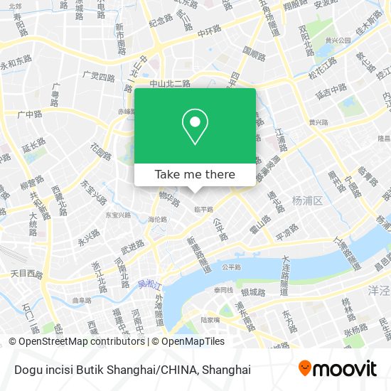 Dogu incisi Butik Shanghai / CHINA map