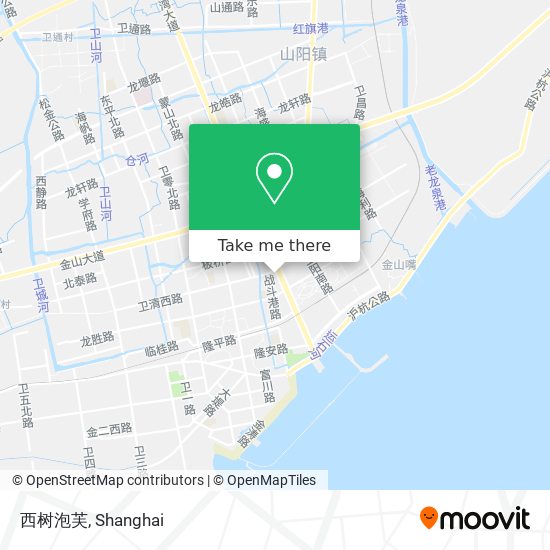 西树泡芙 map