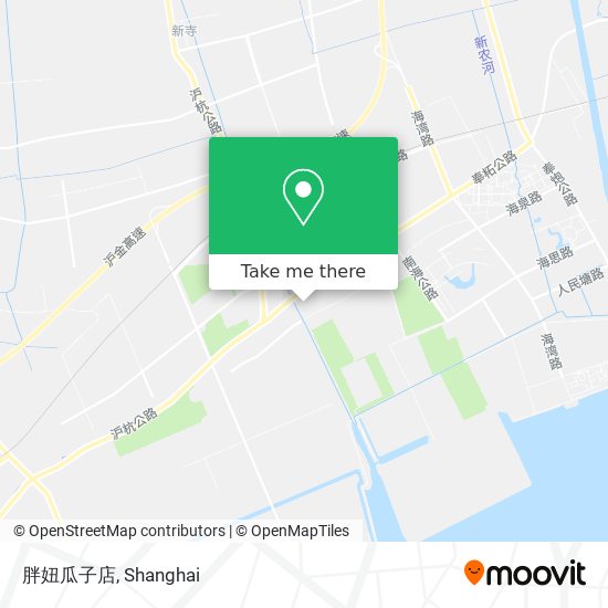 胖妞瓜子店 map