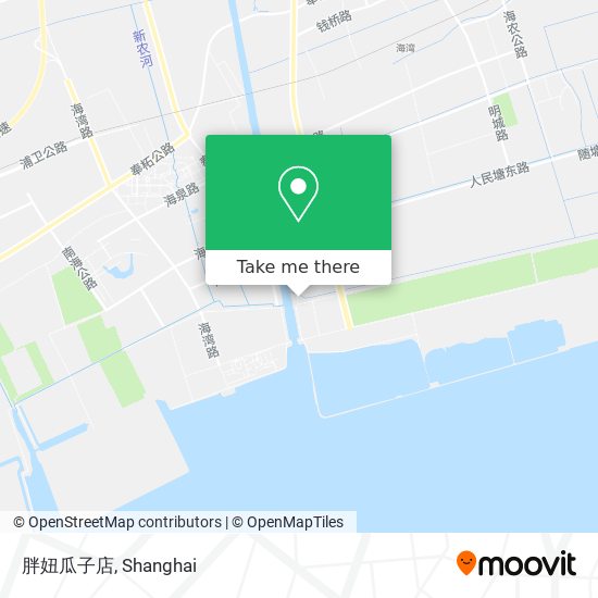 胖妞瓜子店 map