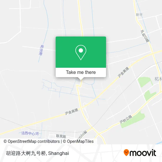 胡迎路大树九号桥 map