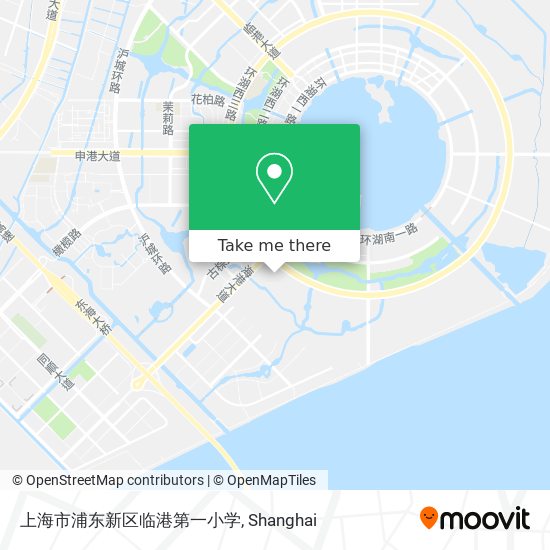 上海市浦东新区临港第一小学 map
