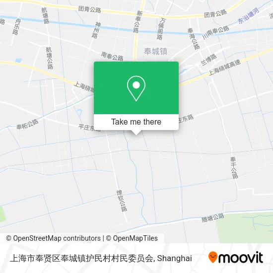 上海市奉贤区奉城镇护民村村民委员会 map