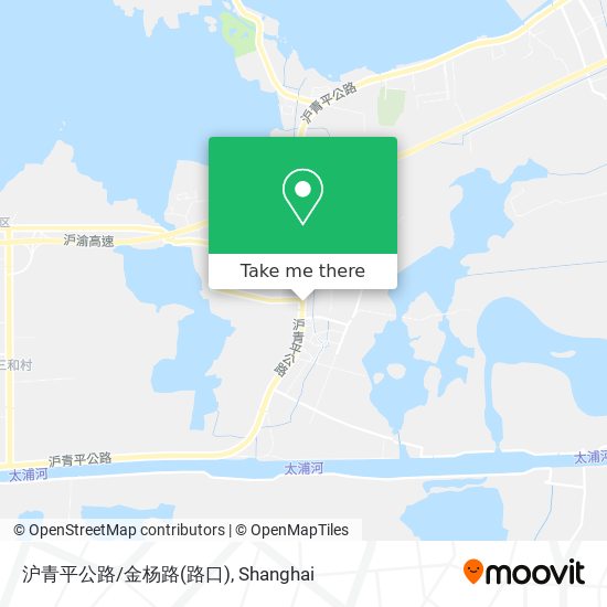 沪青平公路/金杨路(路口) map