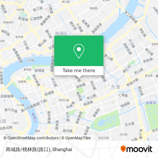 商城路/桃林路(路口) map