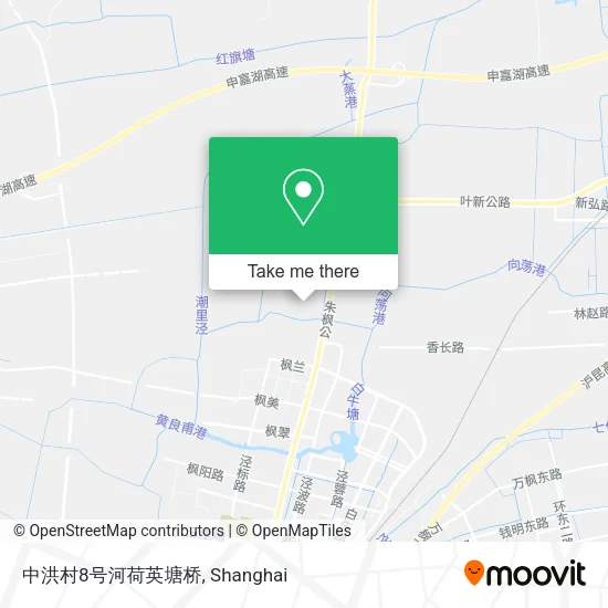 中洪村8号河荷英塘桥 map