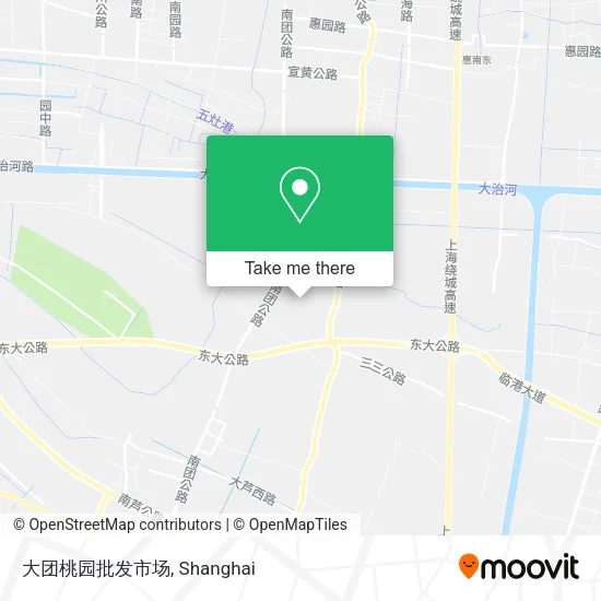大团桃园批发市场 map