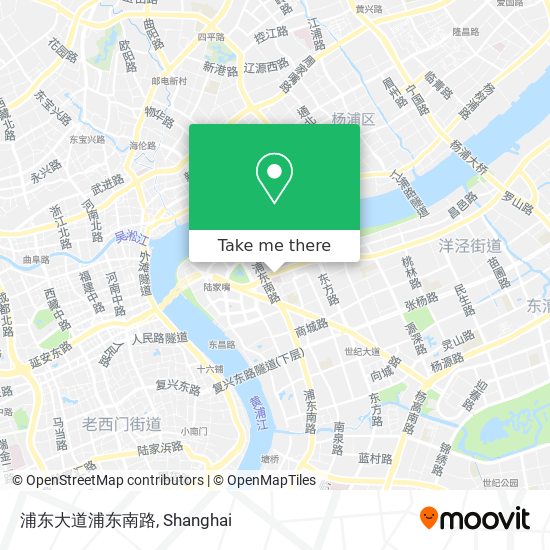 浦东大道浦东南路 map