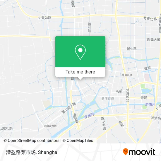 漕盈路菜市场 map