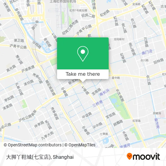 大脚丫鞋城(七宝店) map