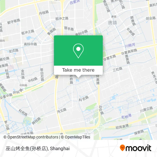 巫山烤全鱼(孙桥店) map