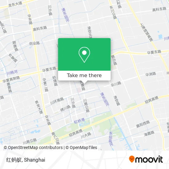 红蚂蚁 map