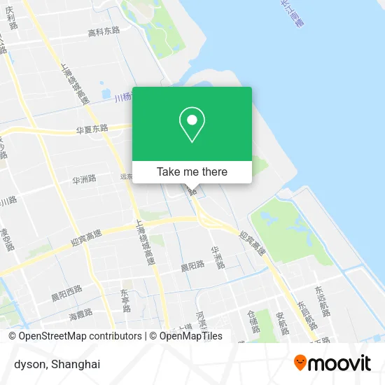 dyson map