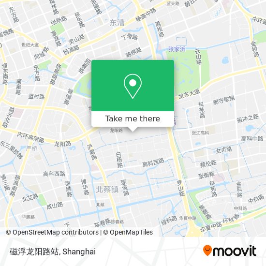 磁浮龙阳路站 map
