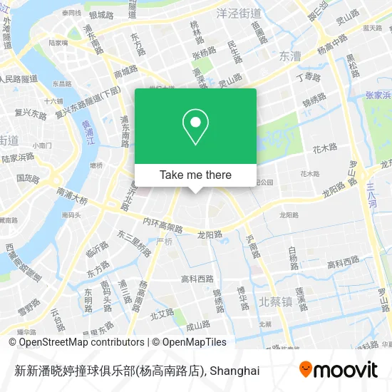 新新潘晓婷撞球俱乐部(杨高南路店) map