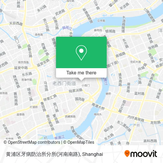 黄浦区牙病防治所分所(河南南路) map