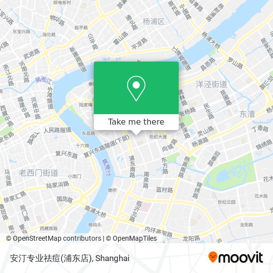 安汀专业祛痘(浦东店) map
