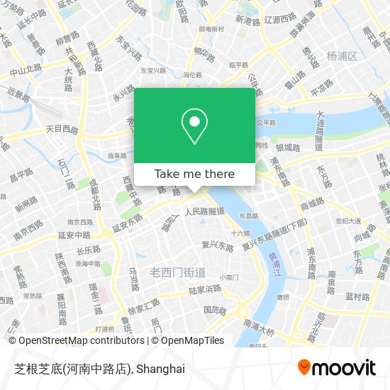 芝根芝底(河南中路店) map