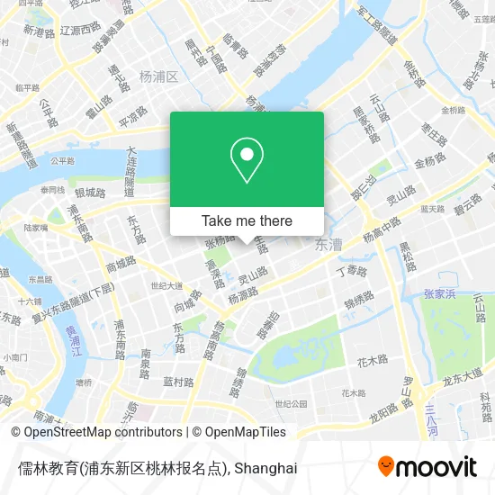 儒林教育(浦东新区桃林报名点) map