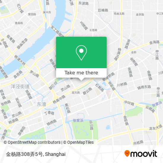 金杨路308弄5号 map