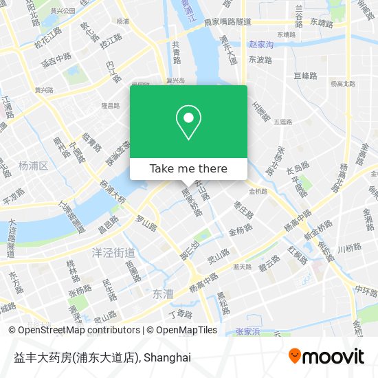 益丰大药房(浦东大道店) map