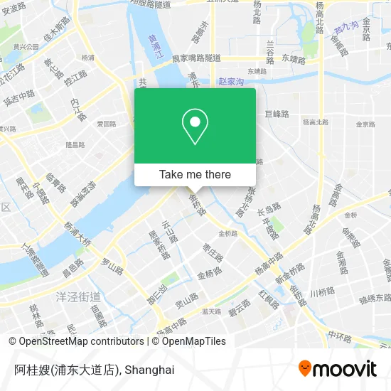 阿桂嫂(浦东大道店) map
