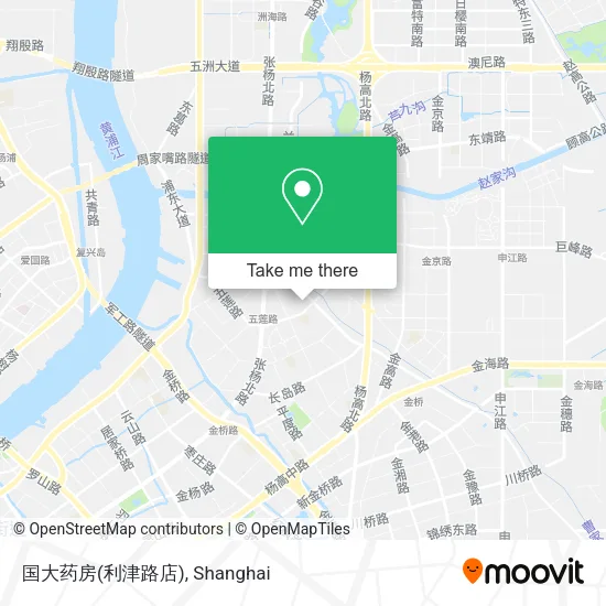 国大药房(利津路店) map