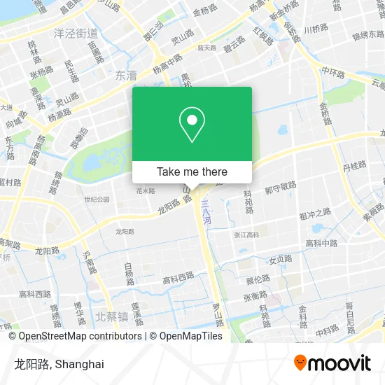 龙阳路 map