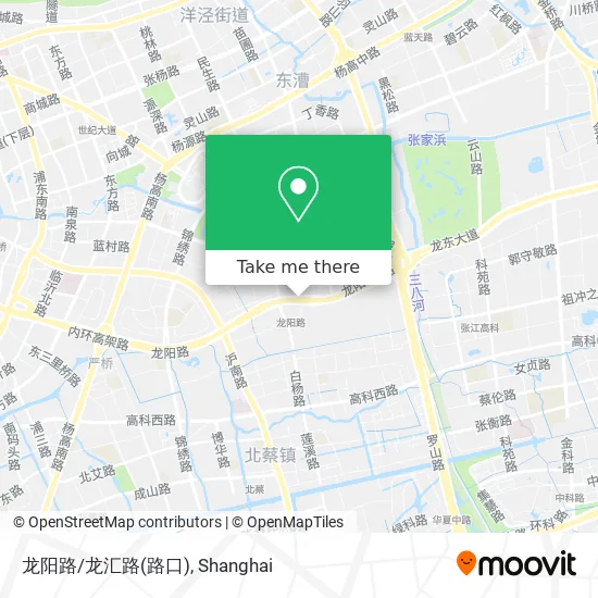 龙阳路/龙汇路(路口) map