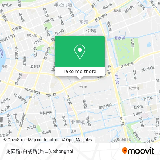 龙阳路/白杨路(路口) map
