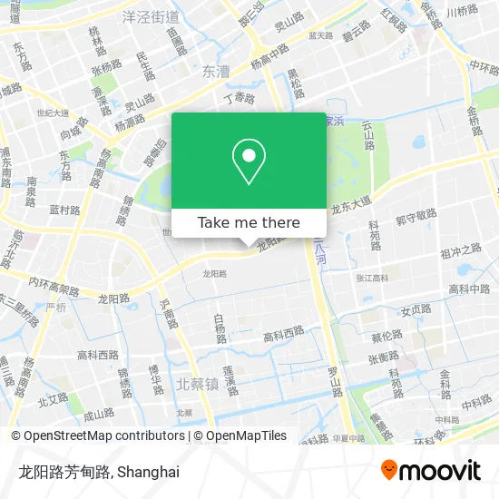 龙阳路芳甸路 map
