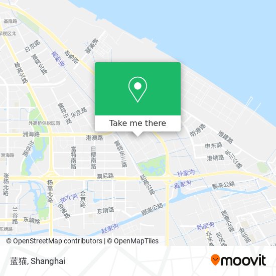 蓝猫 map