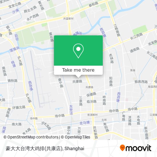 豪大大台湾大鸡排(共康店) map