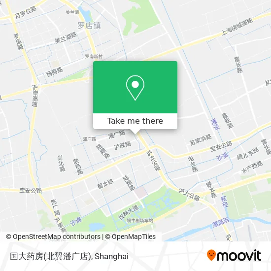 国大药房(北翼潘广店) map