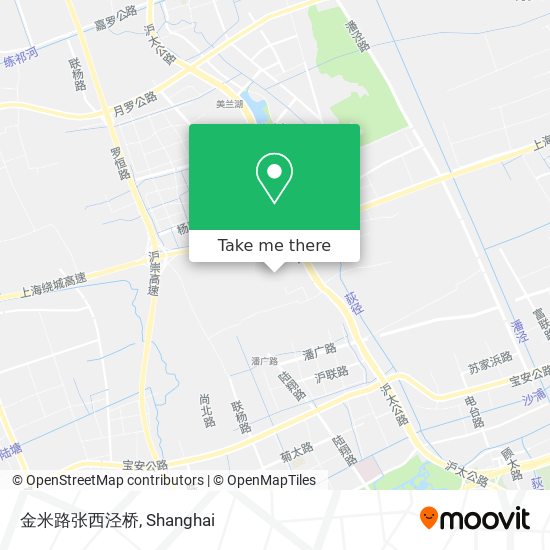 金米路张西泾桥 map