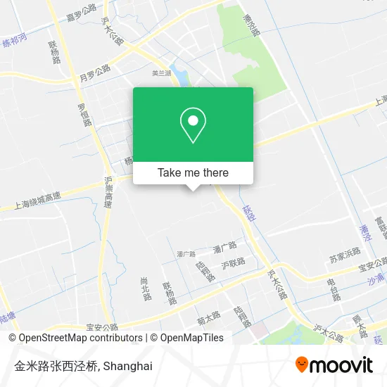 金米路张西泾桥 map