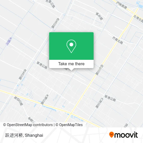 跃进河桥 map