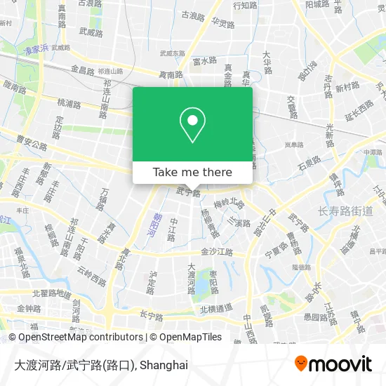 大渡河路/武宁路(路口) map