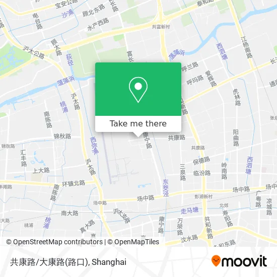 共康路/大康路(路口) map