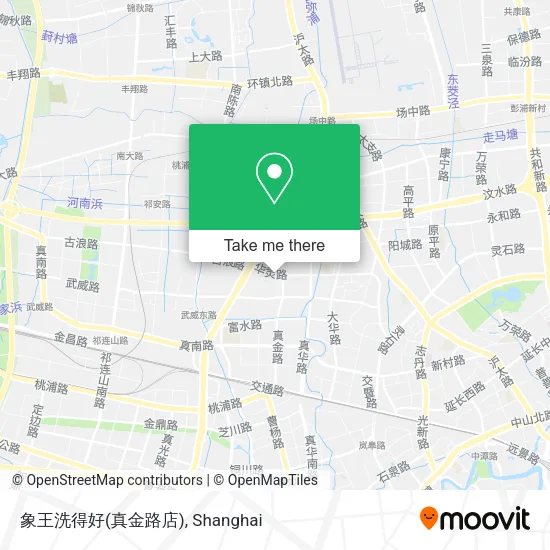 象王洗得好(真金路店) map